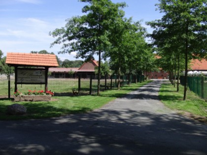 照片: Bonstrup's 